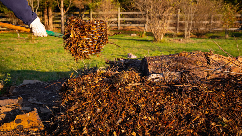 no till garden