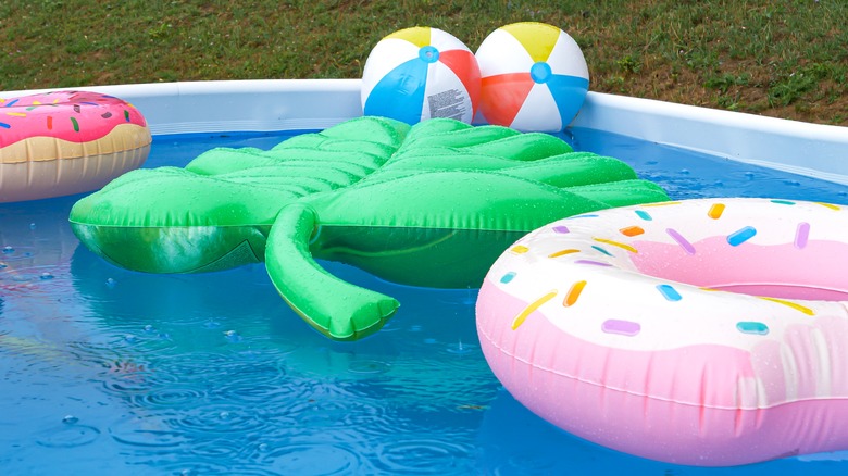 pool floaties 