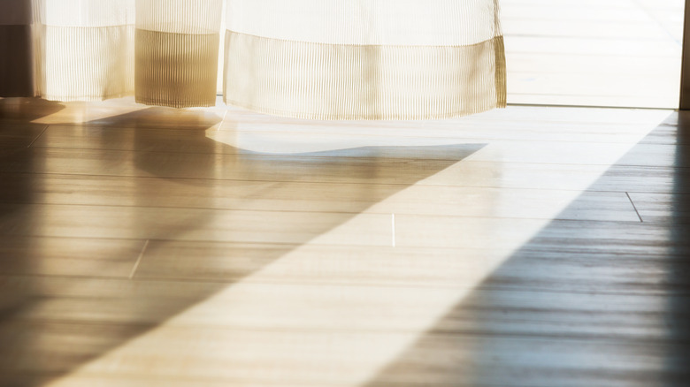 Sunlight spilling onto wooden floor