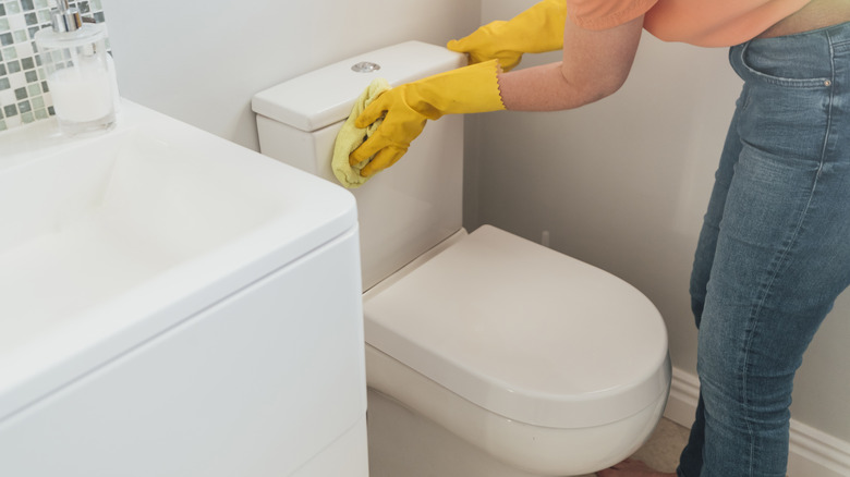 Person wiping toilet with cloth 