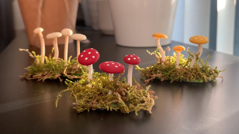 Clusters of DIY mushrooms