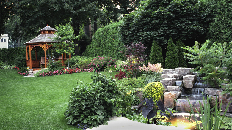 heavily shaded yard with flowers