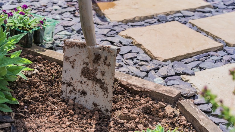 preparing soil for rock garden