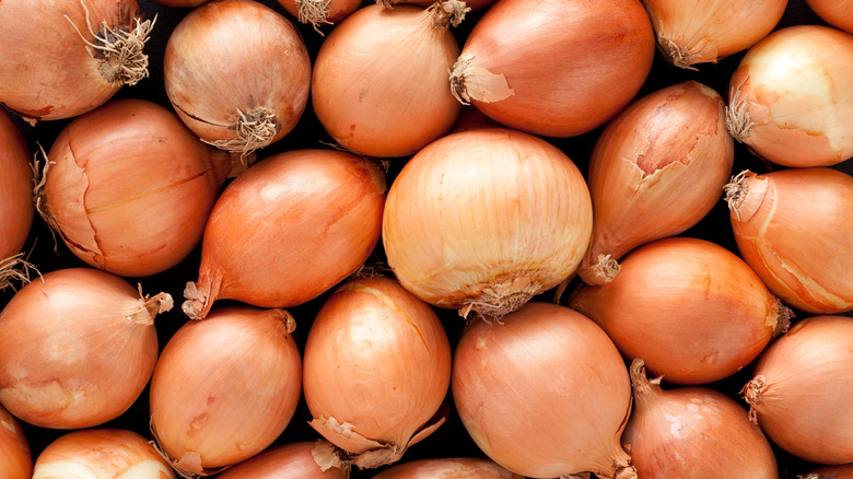 Close up of yellow onions