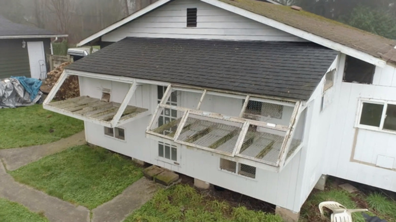 Pigeon coop in yard