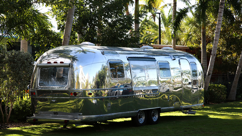 An Airstream in palm trees 