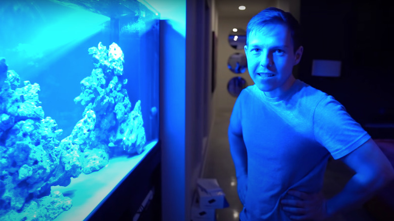 graham stephan with aquarium