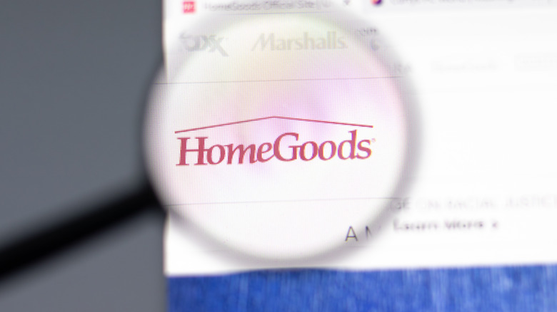 HomeGoods logo under magnifying glass