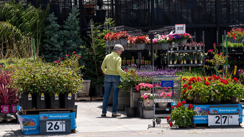 Lowe's garden center with flowers