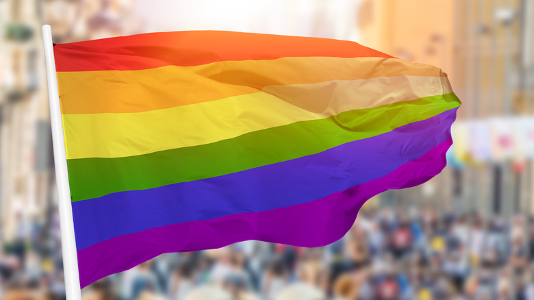 gay pride flag in parade