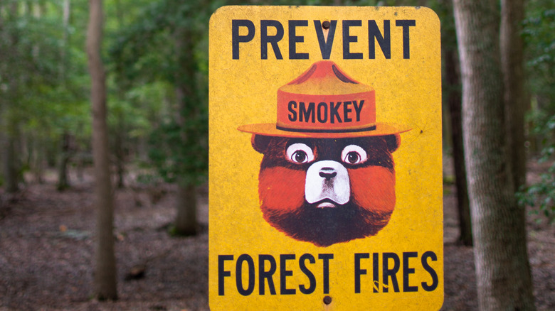 Smokey Bear forest fire sign