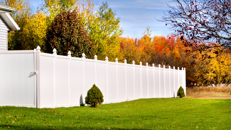 White vinyl fence in Autumn