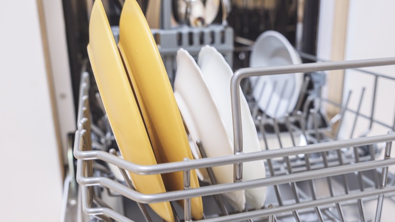 dishes in dishwasher 