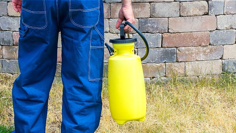 Treating patch of yellow grass