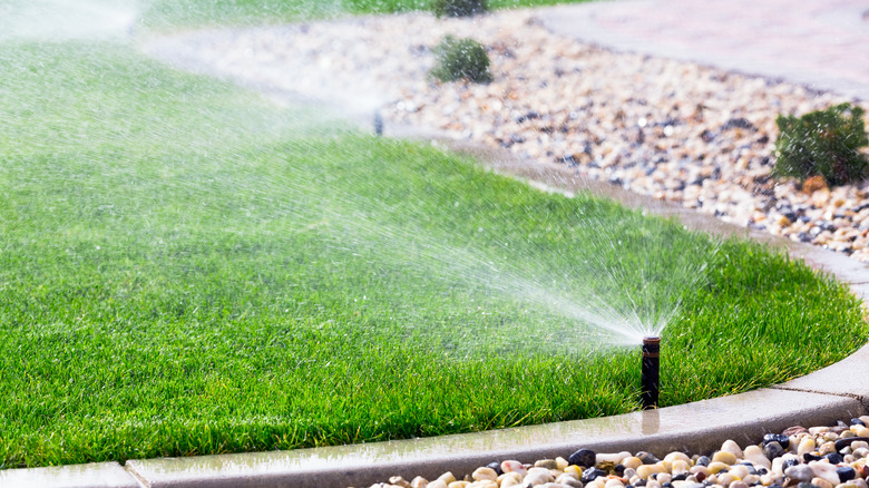 sprinklers watering garden lawn 