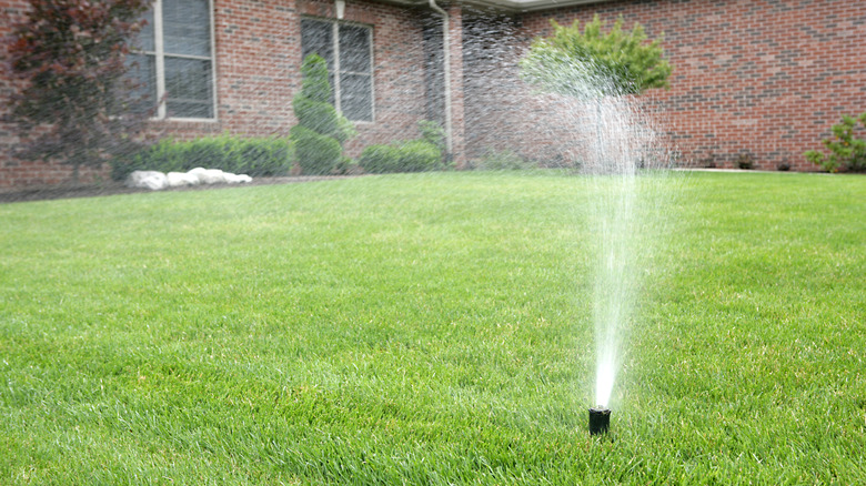 sprinkler watering lawn