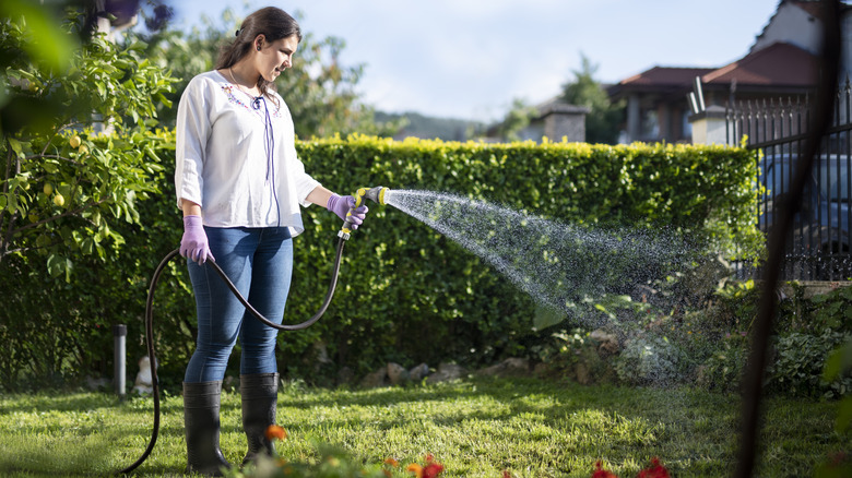 woman watering lawn