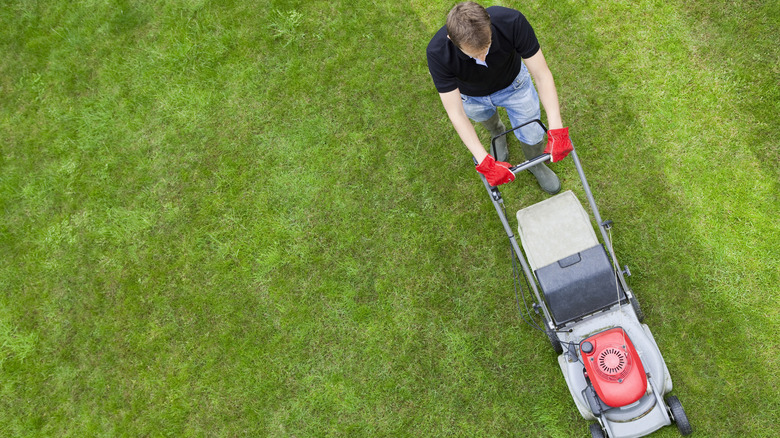 man mowing a healthy lawn  