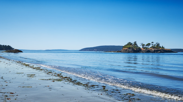 View of Waldron, Washington from Orca Island