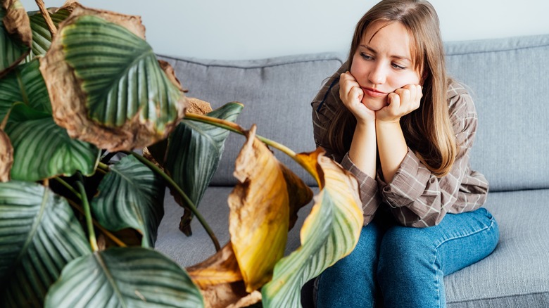 Woman frowning at dying plant