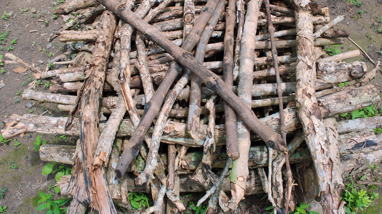 Assorted dead branches are arranged in different directions.