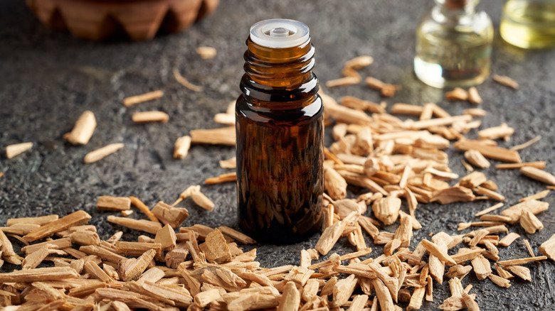 Essential oil bottle with cedar chips