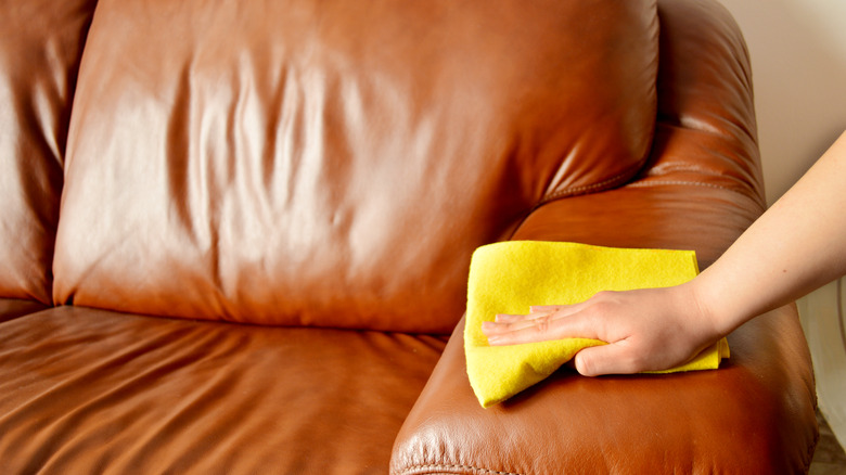 Wiping leather couch with microfiber cloth