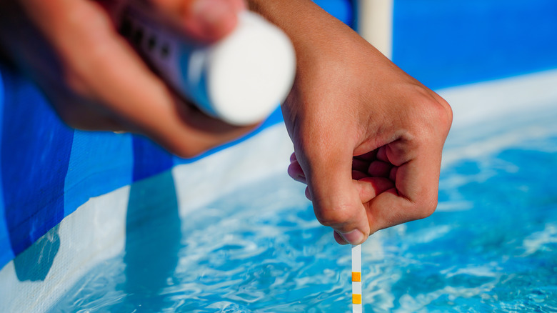 Hand using test strip in pool water