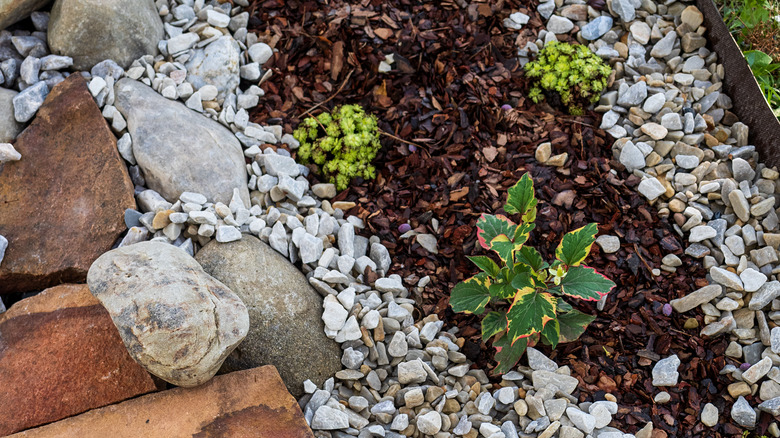 pebble and wood mulch