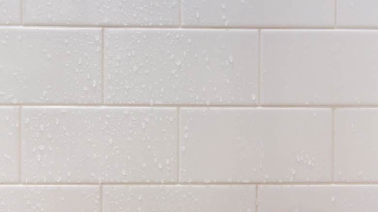 Wet glossy white subway tile in a shower