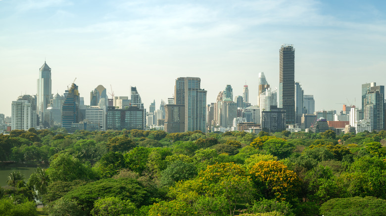 new york skyscrapers and trees