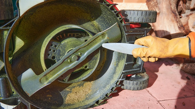 A person positioning a file to sharpen lawn mower blade