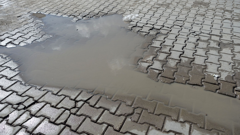 Water pool on pavers due to poor drainage during installation