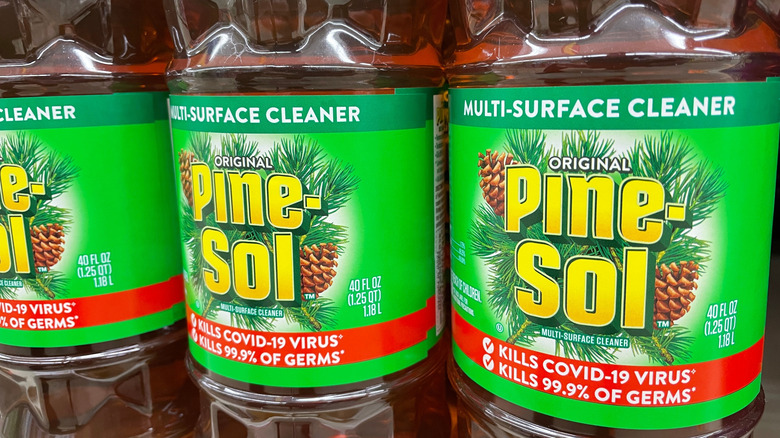 Bottles of Pin-Sol on a store shelf