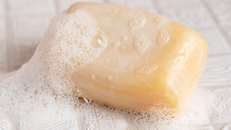 Sudsy bar of soap on white tile