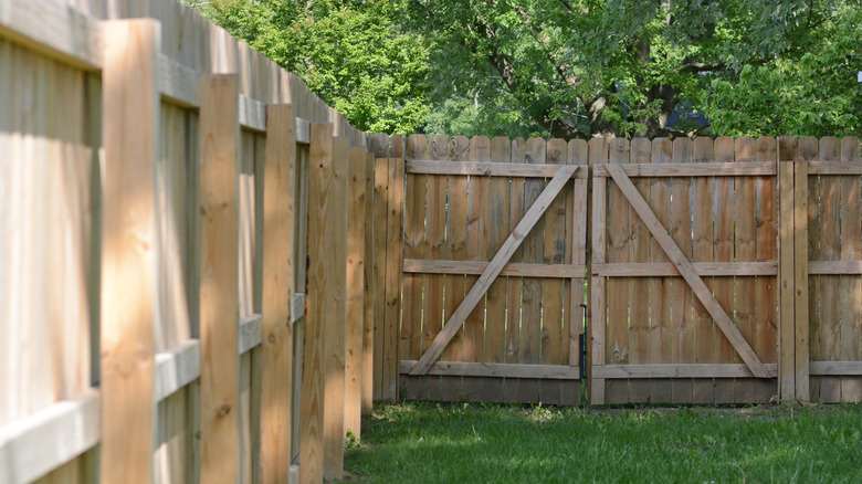 Pine privacy fence with a double gate