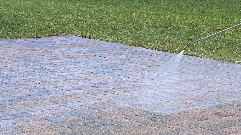 Person sealing pavers