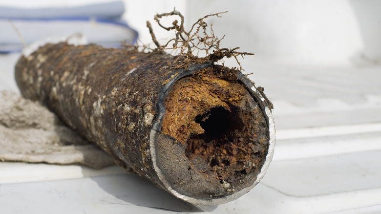 rotten sewer pipe