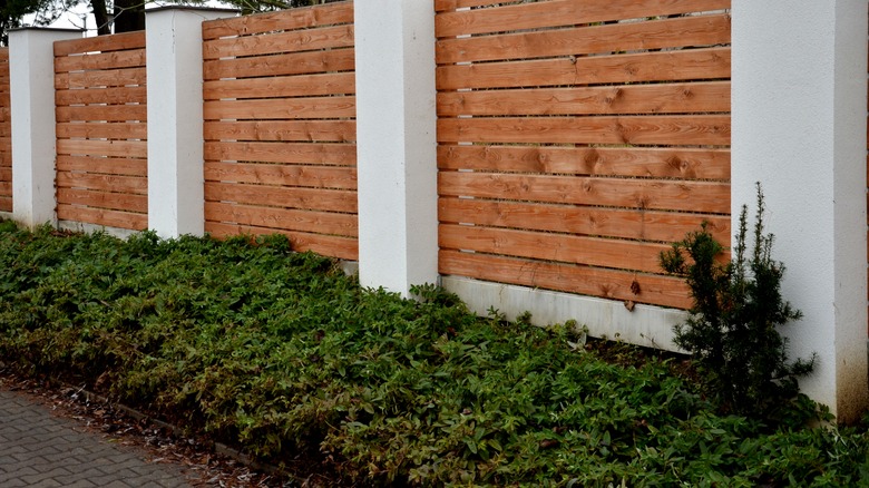 shrub bed against fence