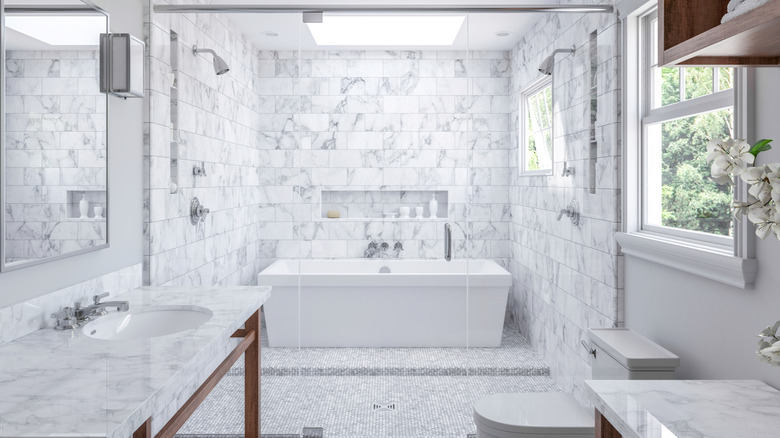 Modern bathtub in spacious shower in luxury bathroom