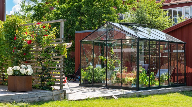 glass greenhouse in garden
