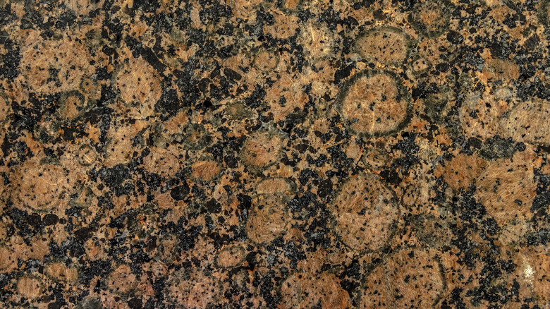 baltic brown granite close-up