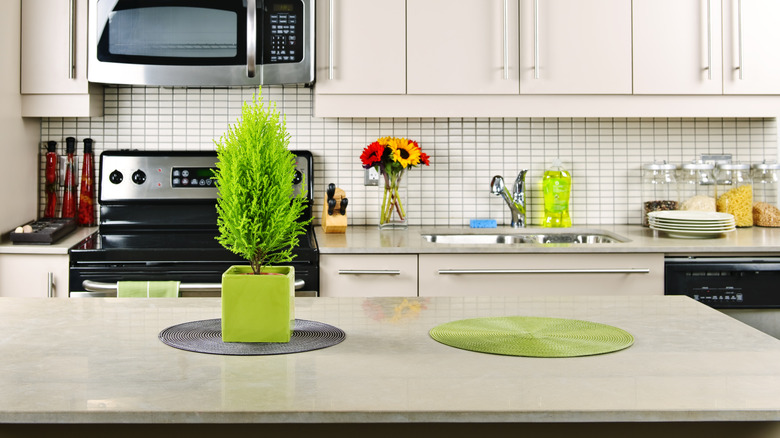 Soapstone countertop in kitchen