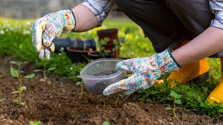 person amending soil