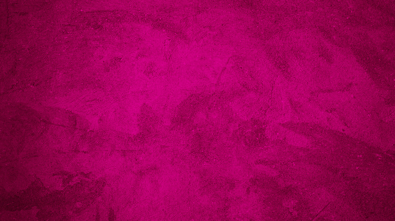 magenta wall color close up