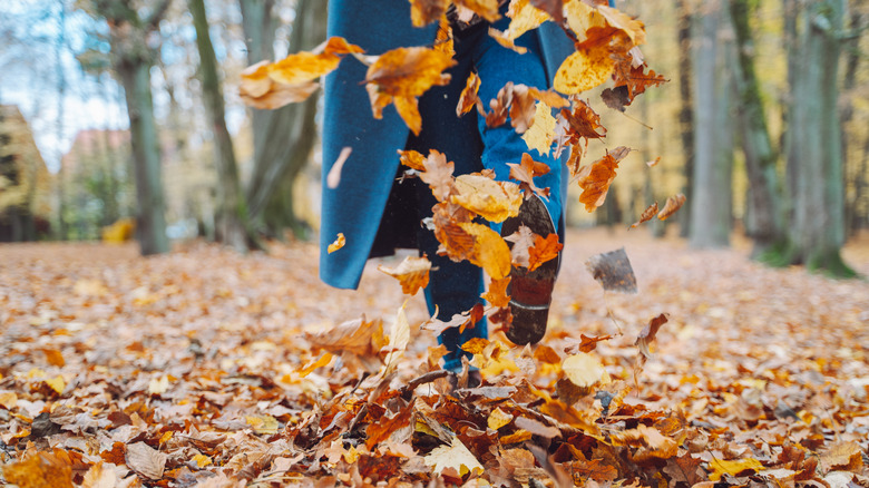 Person walking on fall leaves