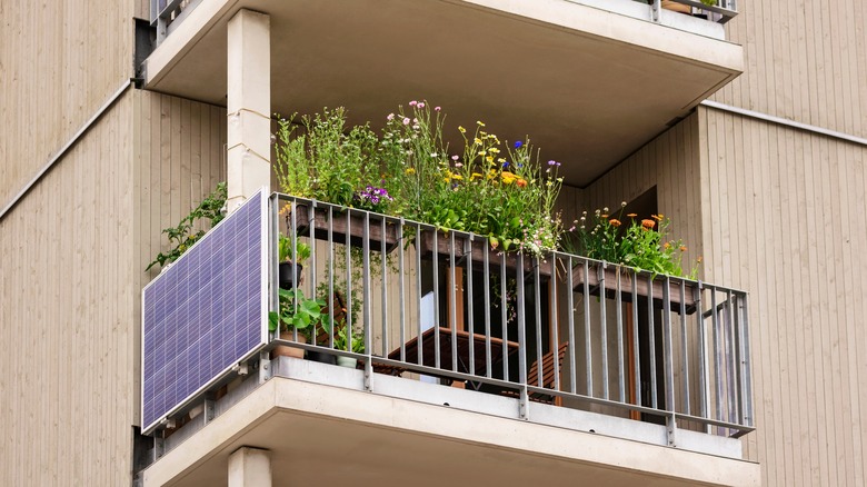 balcony with plants