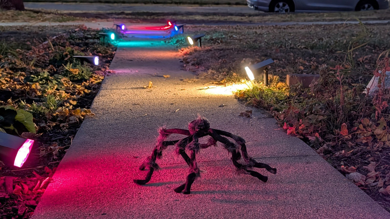 Illuminated spooky spider display