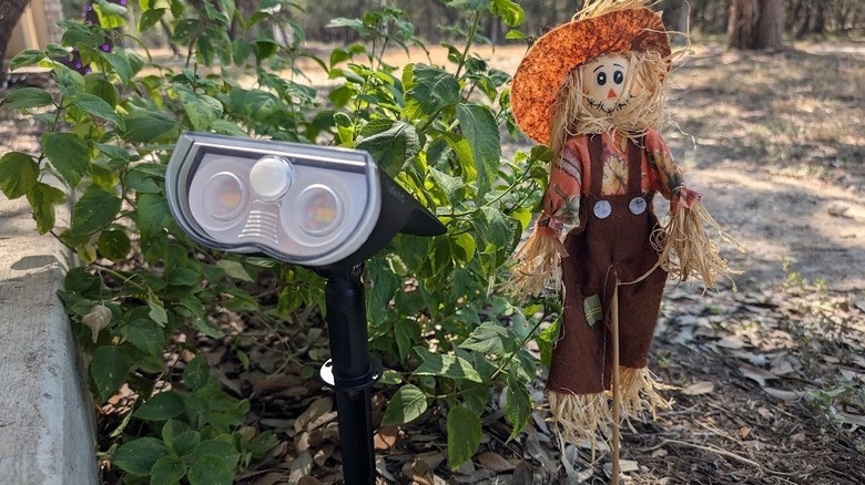 scarecrow and solar outdoor light