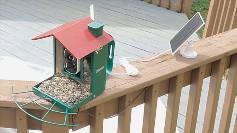 Osoeri smart bird feeder on deck